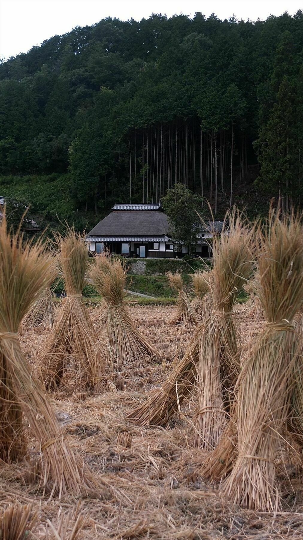 Sasayuri-Ann Villa Nara Exterior foto