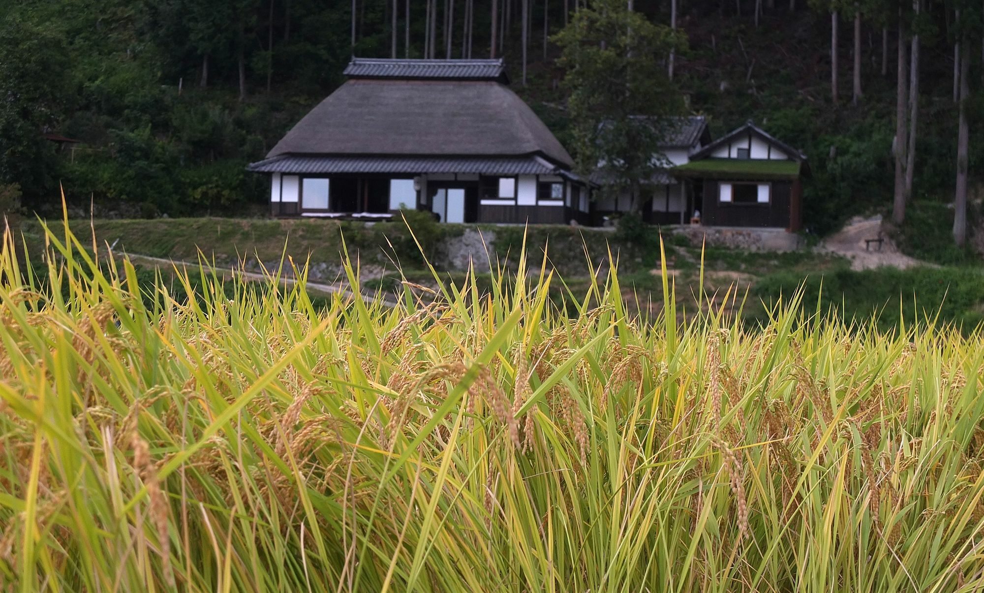 Sasayuri-Ann Villa Nara Exterior foto